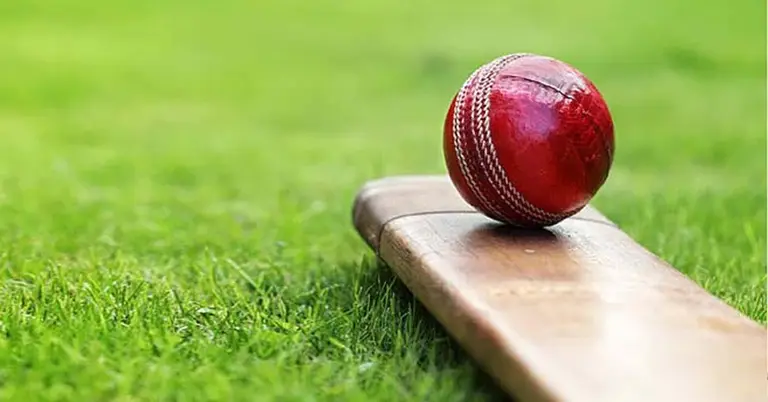 ক্রিকেট ব্যাট ও বল